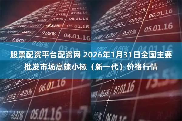 股票配资平台配资网 2026年1月31日全国主要批发市场高辣小椒（新一代）价格行情