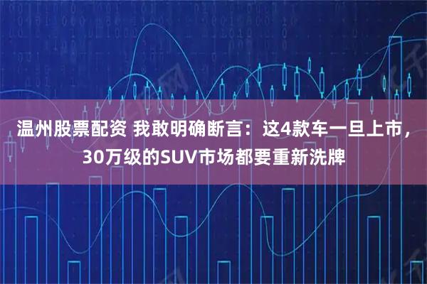 温州股票配资 我敢明确断言：这4款车一旦上市，30万级的SUV市场都要重新洗牌